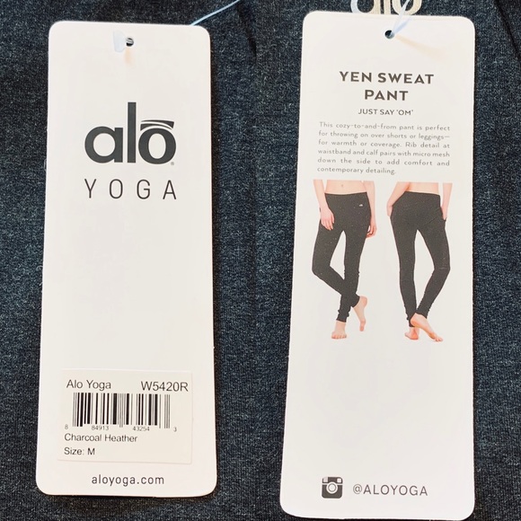 Alo Yoga Yan Sweat Pant - Picture 5 of 9